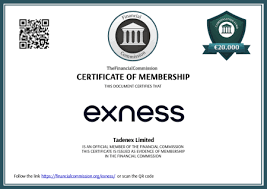 Ultimate Guide to Download MT4 Exness Android 3