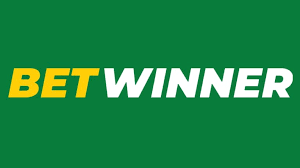 Discover BetWinner in France A Comprehensive Guide
