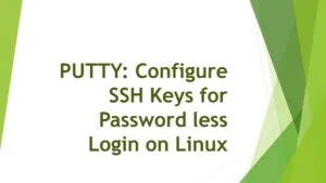 The Way To Optimize & Improve Database Performance The Way To Optimize & Improve Database Performance