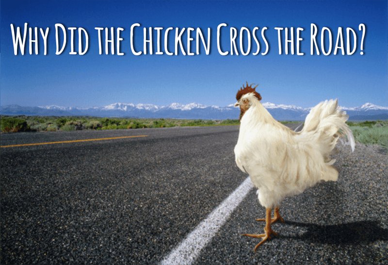 Scopri l'Autentico Gioco di Roulette Italiano di Chicken Road in Italia Online