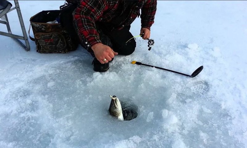 Ice fishing, ice fishing live