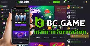 Understanding BC.Game Data Protection Policy Safeguarding Your Information
